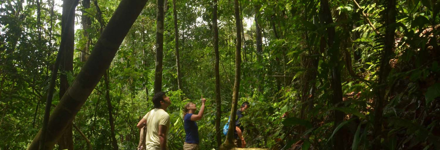 Ancient Trail & Waterfall Hike, Pacuare Lodge, Costa Rica