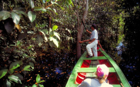 Amazonas River excursion, Brazil