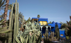 Majorelle Gardens, Marrakech