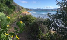 Featherbed Nature Reserve, Knysna