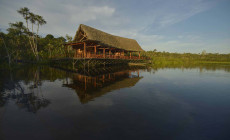 Sacha Lodge, Amazon Jungle, Ecuador