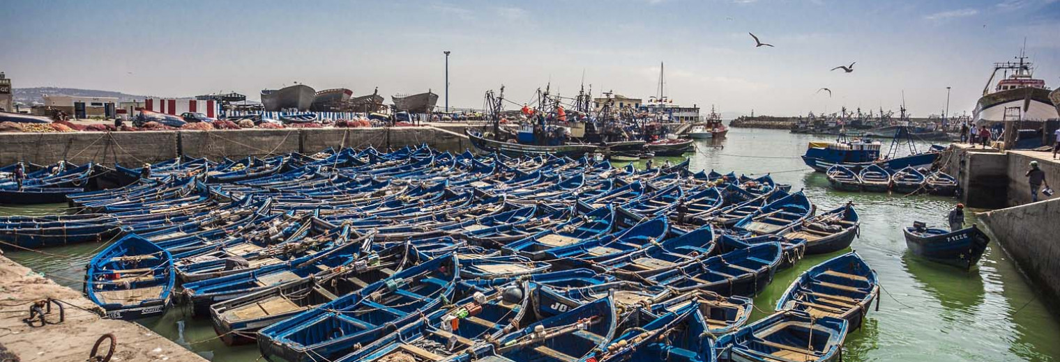 Blue Boats, Essaouira
