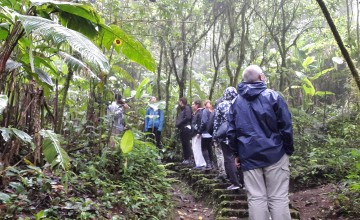 Day & Night Cloud Forest Excursion