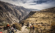 Colca canyon, Arequipa, Peru