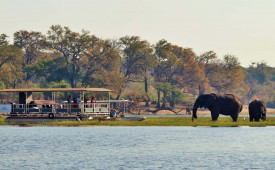 Boat trip, River View Lodge, Kasane, Botswana