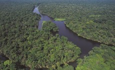 Tortuguero, Costa Rica