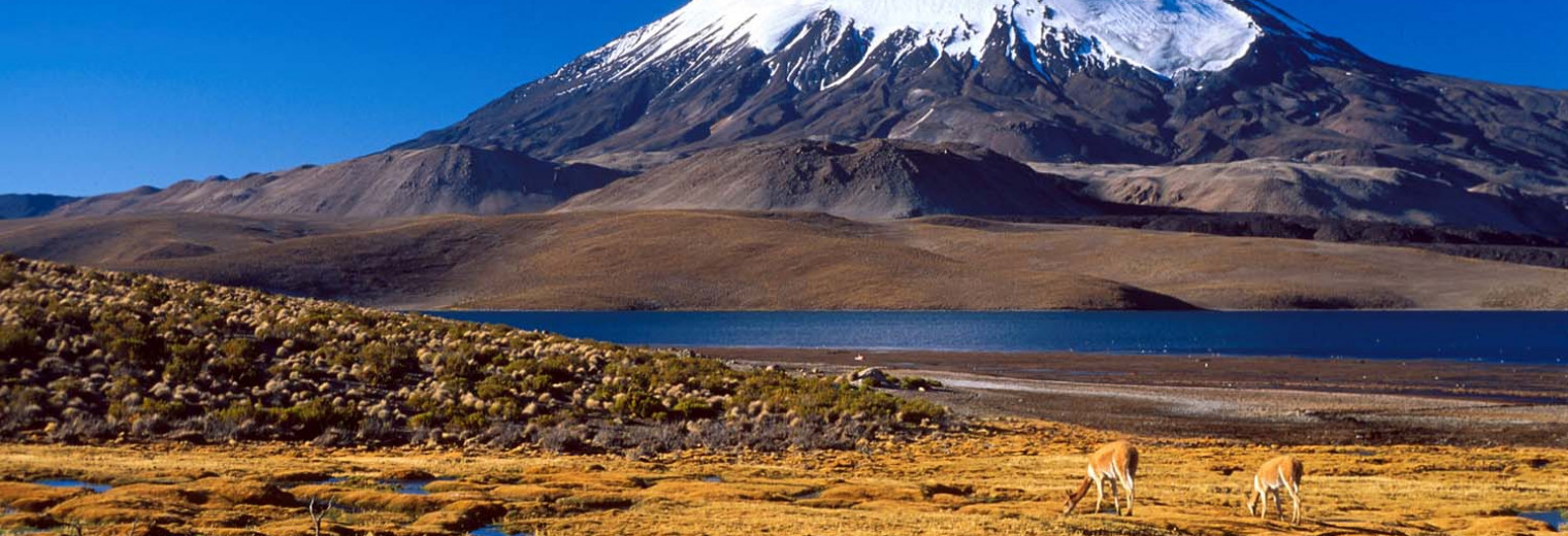 Natural Wonders of Chile + Atacama Desert