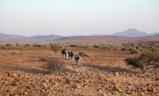 Rhino tracking, Palmwag Lodge, Damaraland