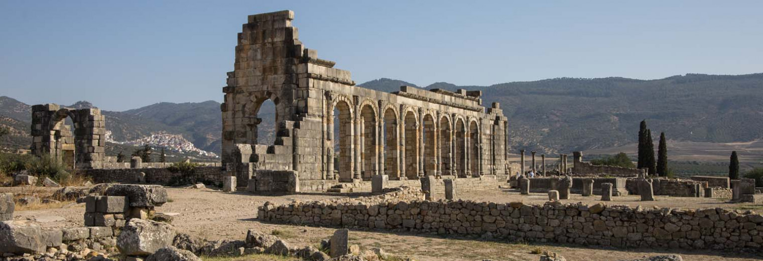 Roman Ruins, Volubilis