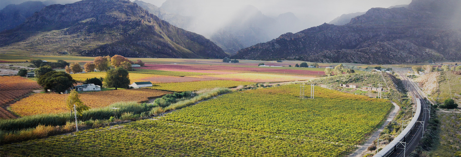 Hex River Valley, Rovos Rail, South Africa