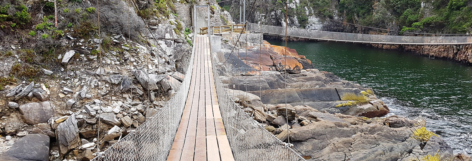 Hanging bridges, Storms River, Tsitsikamma