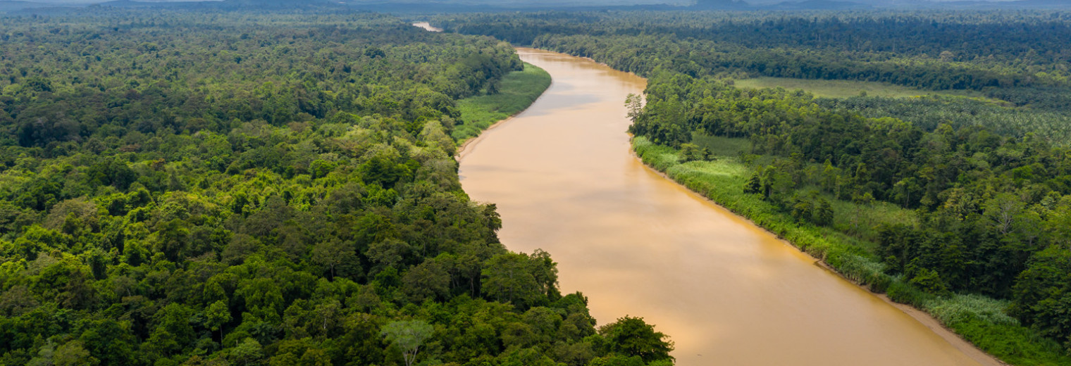 Kinabatangan River, Borneo