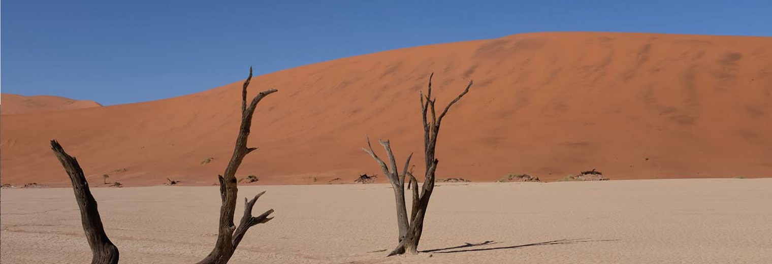 Deadvlei, Sossusvlei, Namibia