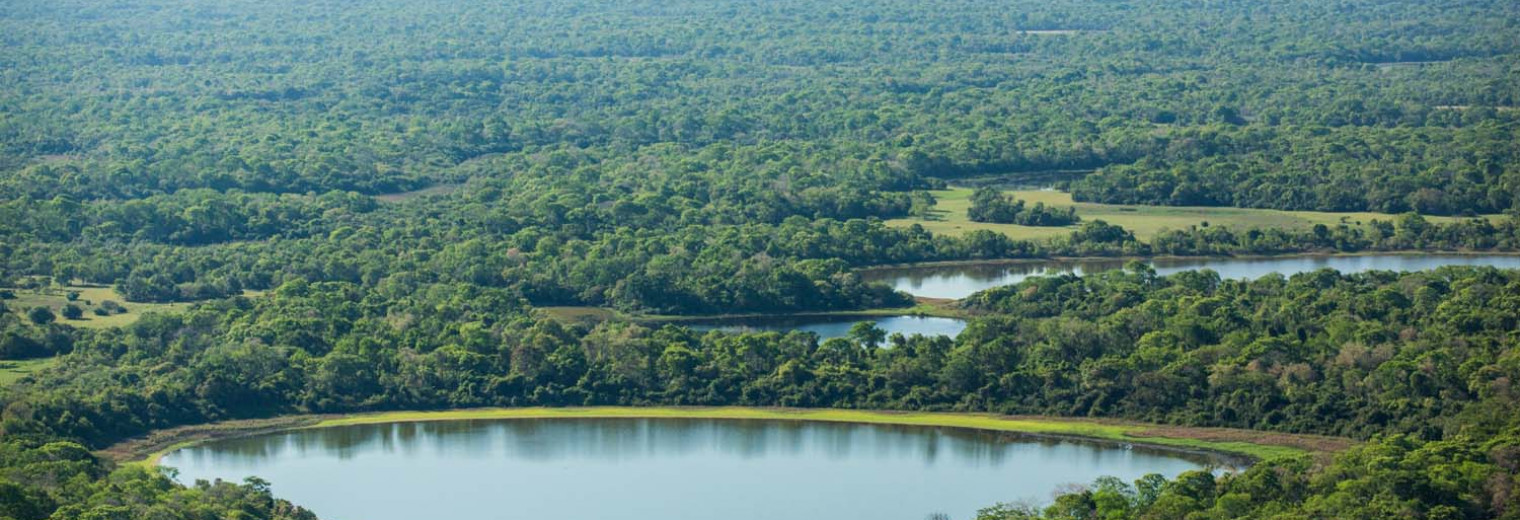 Pantanal, Brazil