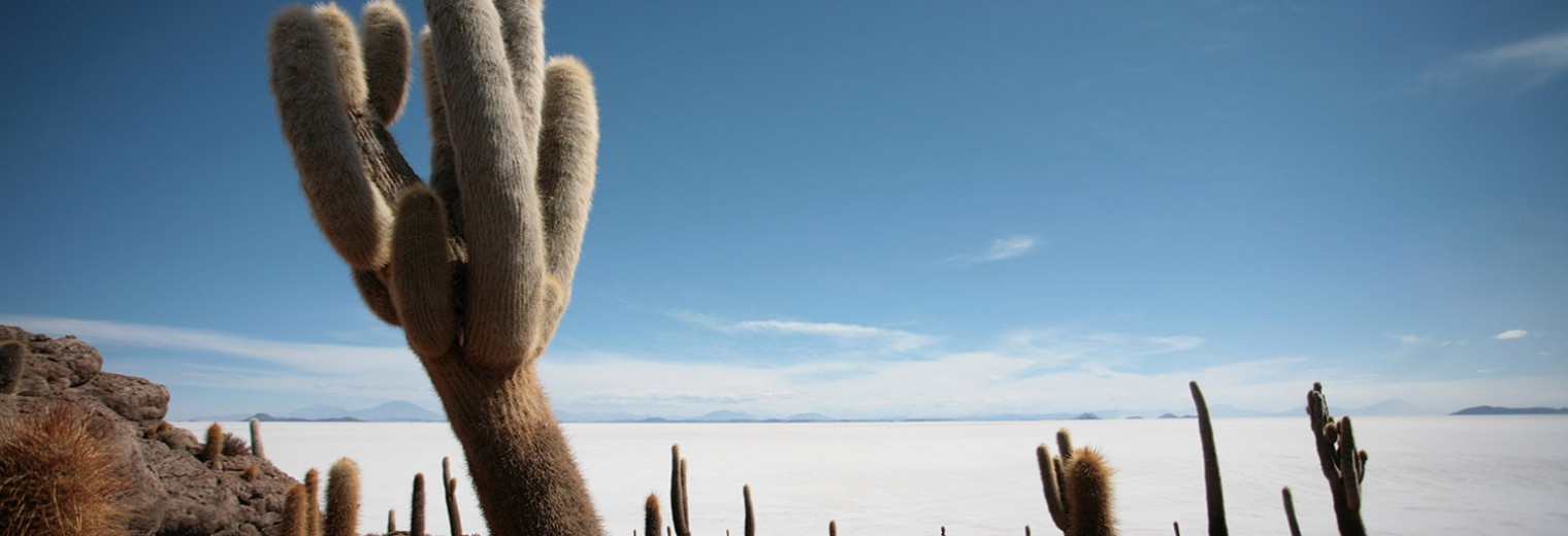 Incahuasi Island, Bolivia 