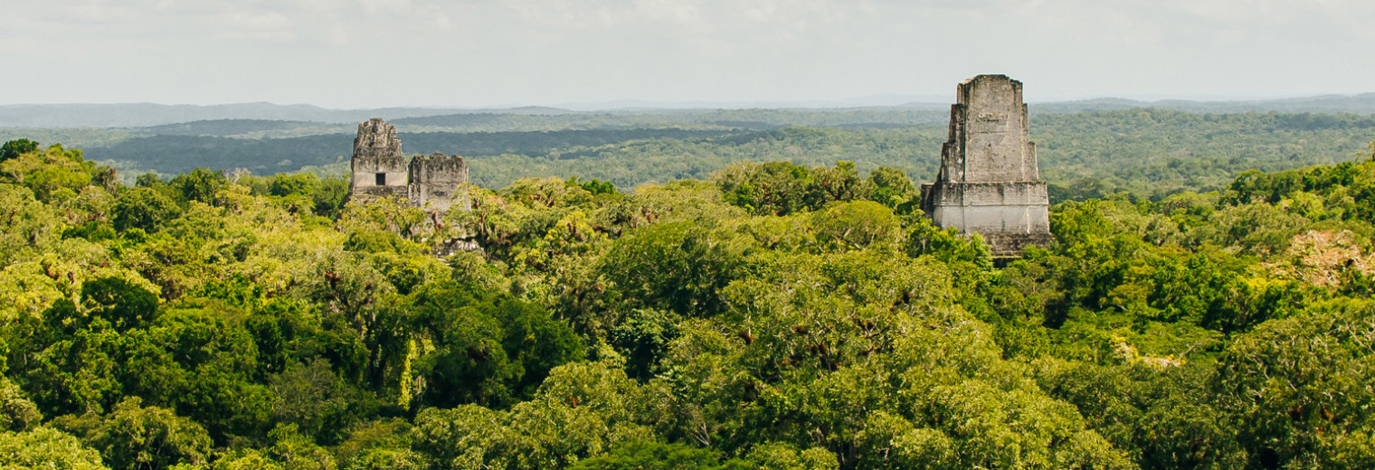 Tikal Ruins, Guatemala