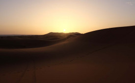 Erfoud Desert