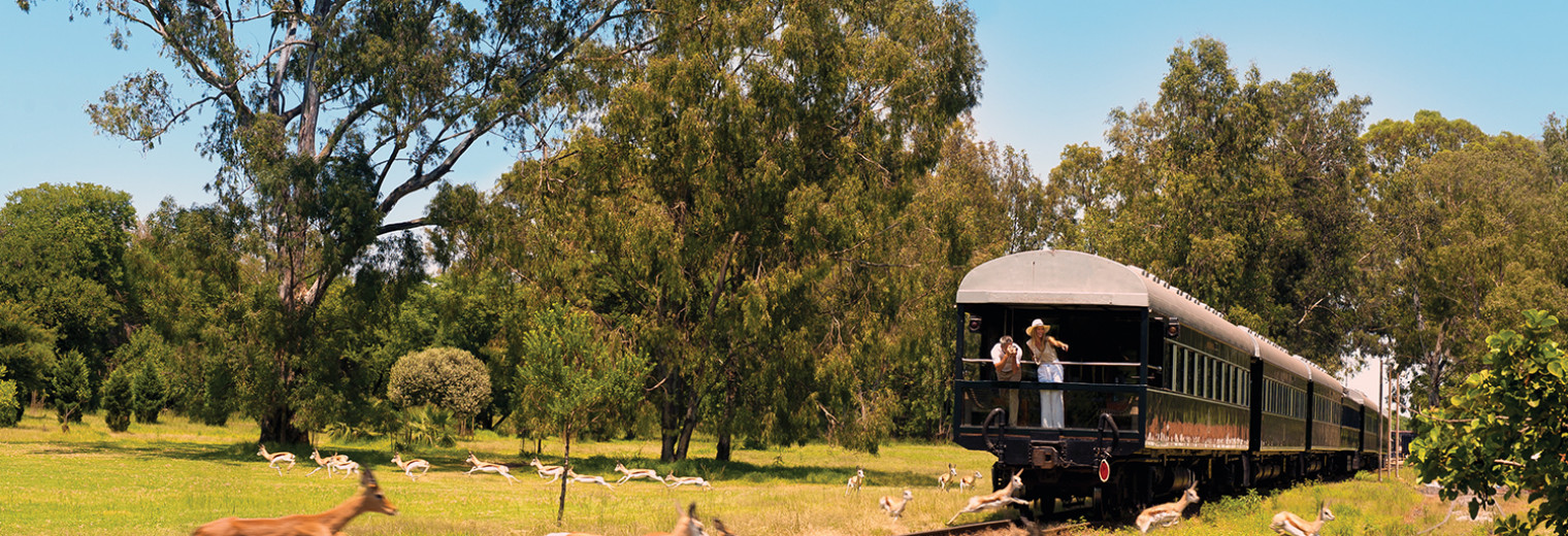 Game Viewing, Rovos Rail, South Africa