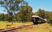 Game Viewing, Rovos Rail, South Africa