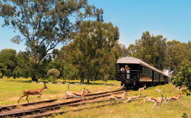 Game Viewing, Rovos Rail, South Africa