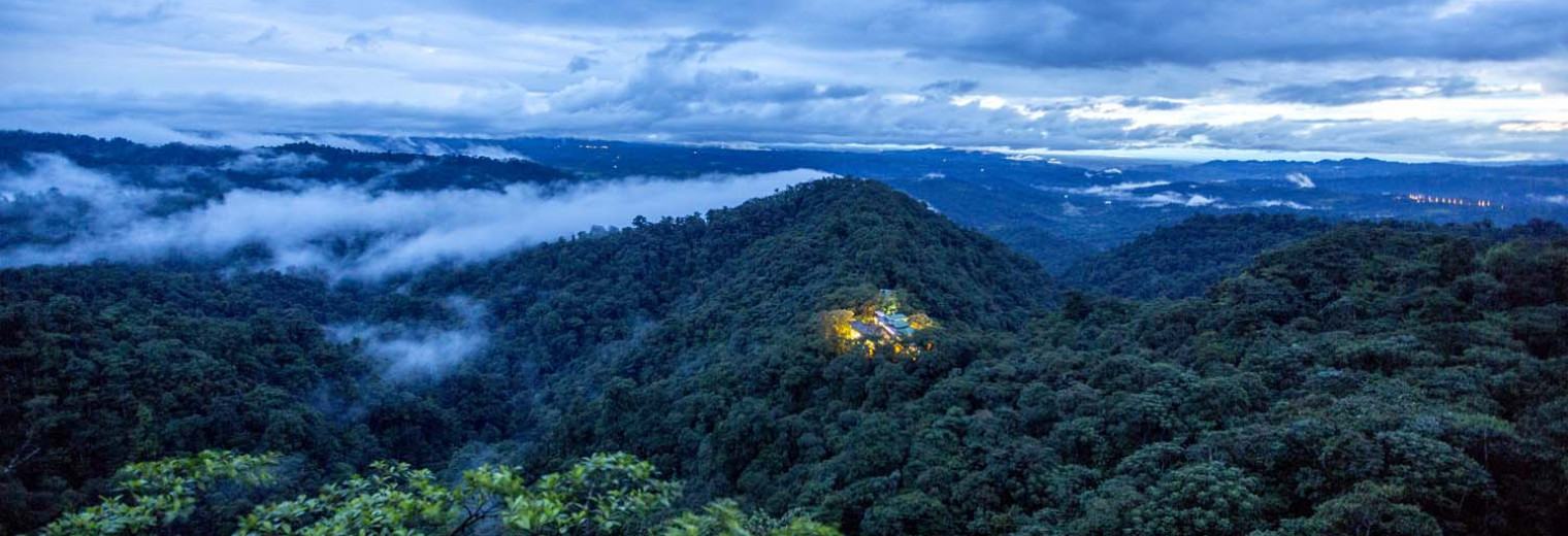 Cloudforest, Ecuador 