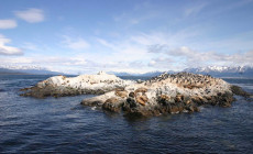 Tierra del Fuego, Patagonia, Argentina