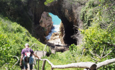 Featherbed Nature Reserve, South Africa