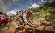 Misminay, Sacred Valley, Peru