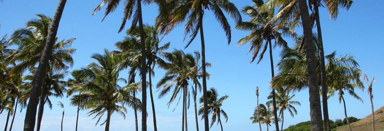 Playa Anakena, Easter Island, Chile