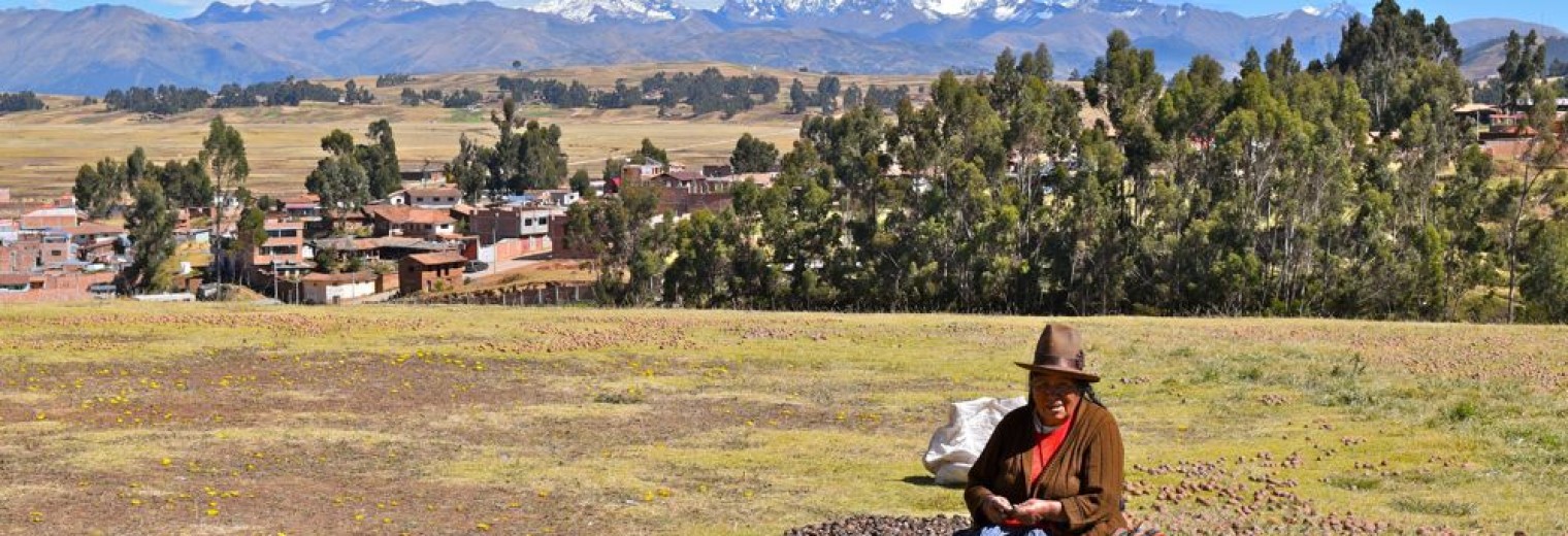 Sorting potatoes at Chinchero, Sacred Valley, Peru