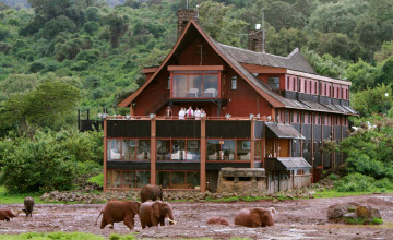 Exterior, The Ark, Kenya 