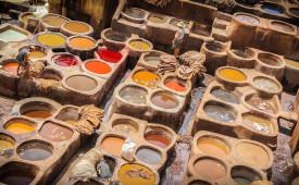 Chouara Tannery, Fes