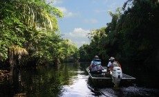 Tortuguero, Costa Rica