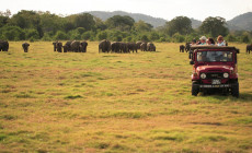 Minneriya NP, Sri Lanka