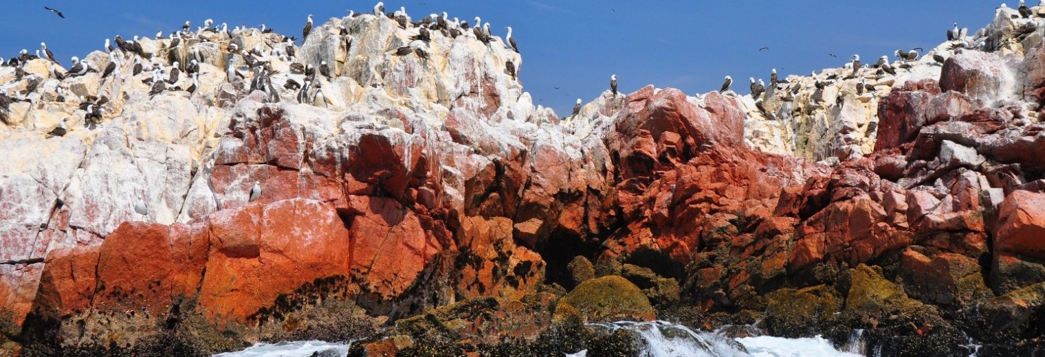 Ballestas Islands