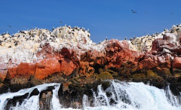 Ballestas Islands