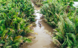 Mekong Delta