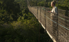 Sacha Lodge, Amazon Jungle, Ecuador