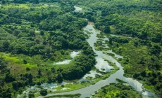 Pantanal Wetland, Brazil