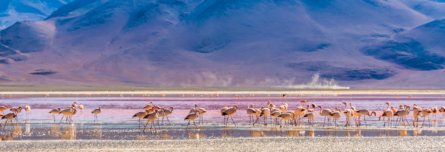 Laguna Colorada, La Paz