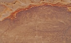 Hummingbird, Nazca lines, Peru