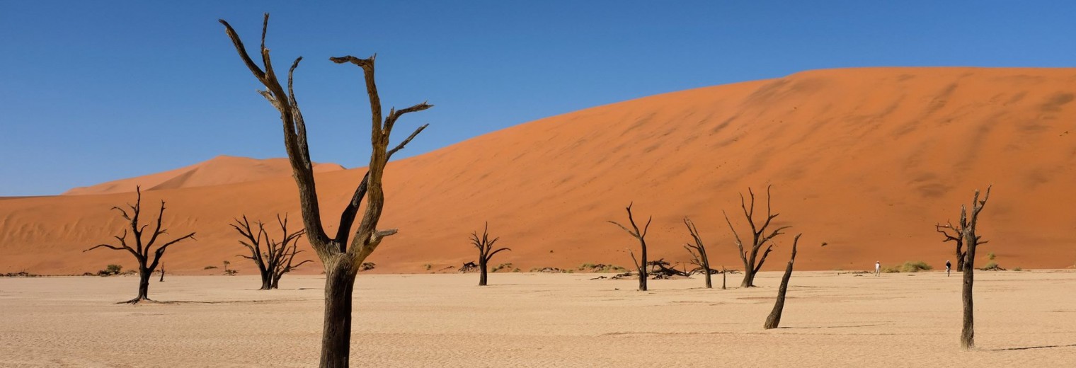 Deadvlei, Sossusvlei, Namibia