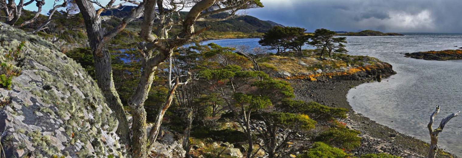 Tierra del Fuego, Patagonia, Argentina