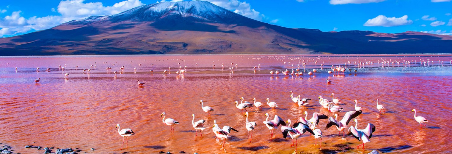 Laguna Colorada, Bolivia