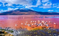 Laguna Colorada, Bolivia