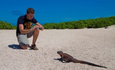 Marine iguana encounter, Galapagos Islands