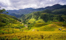 Mai Chau