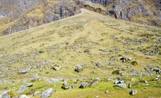 Salkantay trail, Peru