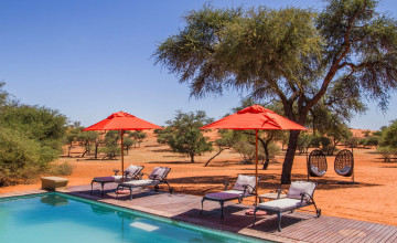 Pool, Intu Afrika Zebra Kalahari, Namibia