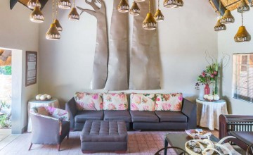 Social Area, Nguni Lodge, Victoria Falls 